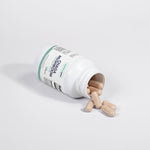 Load image into Gallery viewer, Chaga Mushroom