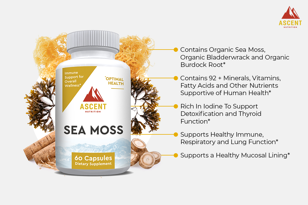 Ascent Nutrition Sea Moss Benefits